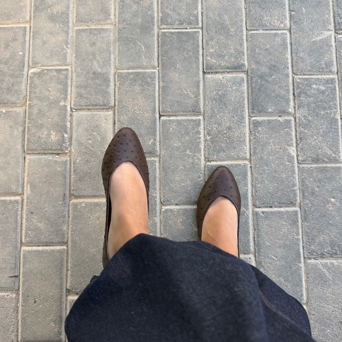 Mocha Dot Flat