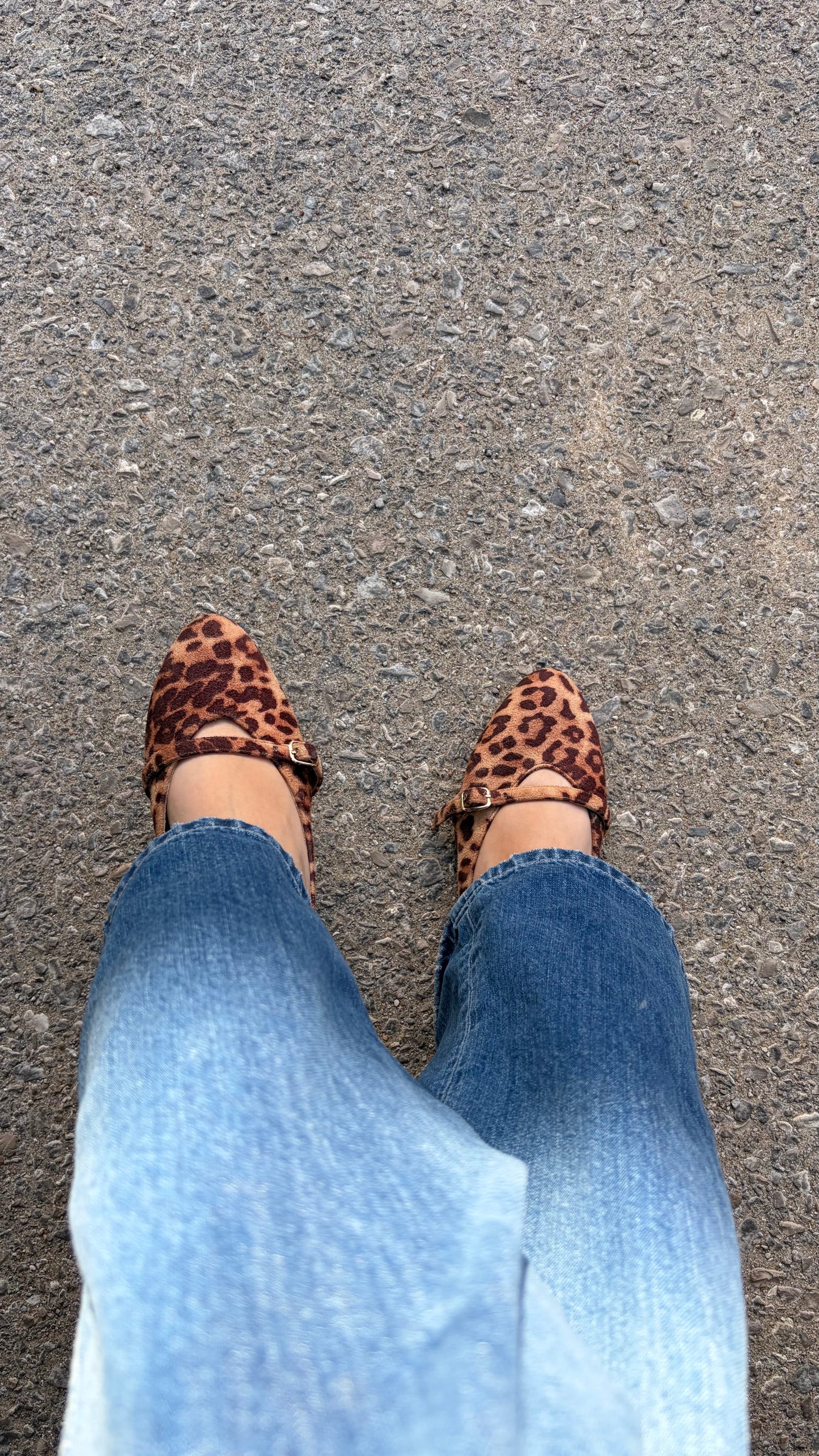 leopard Ballerina